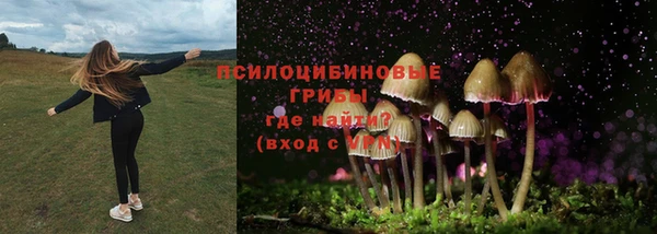 скорость Аркадак